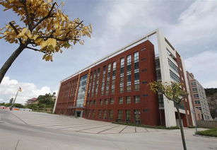 珠海金灣5所本科高校投檔線(xiàn)公布，職業(yè)教育培訓(xùn)助力學(xué)子成才